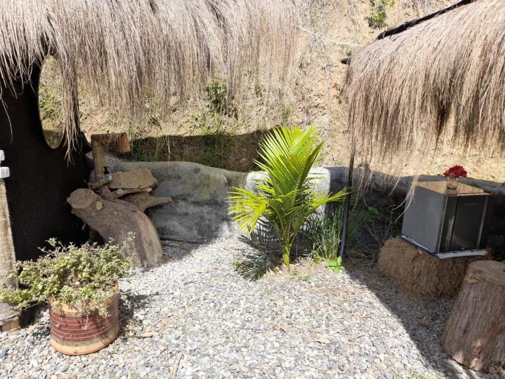 IslaMontaña Glamping photo 4