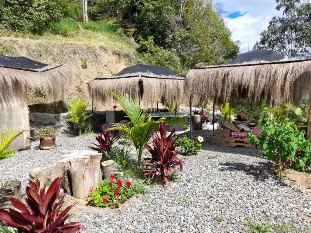 IslaMontaña Glamping photo 3