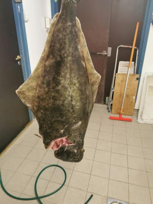 Feriebolig på bygda photo 4