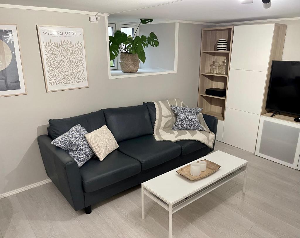 One bedroom basement apartment in the city