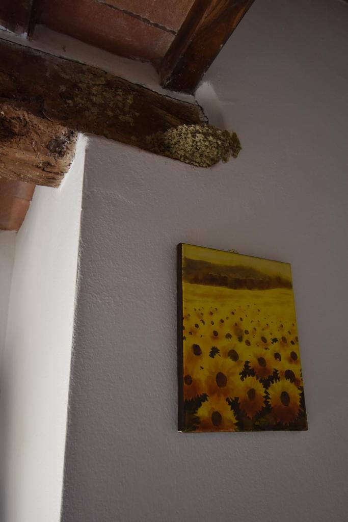 Borgo Mulignone photo 4