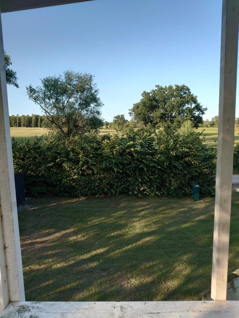Stålemara Gård Lilla gula huset på landet photo 3