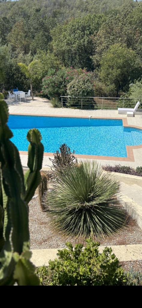 Sublime Villa Piscine Jacuzzi Côte d'Azur photo 4