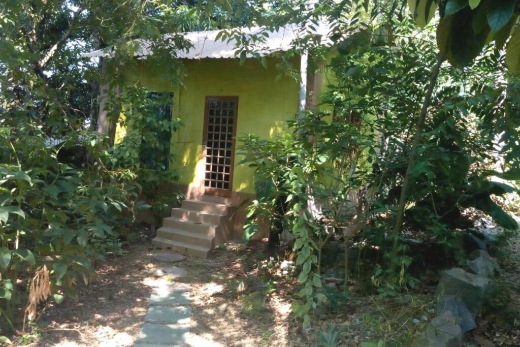 Casa do Sossêgo / Manaus photo 4