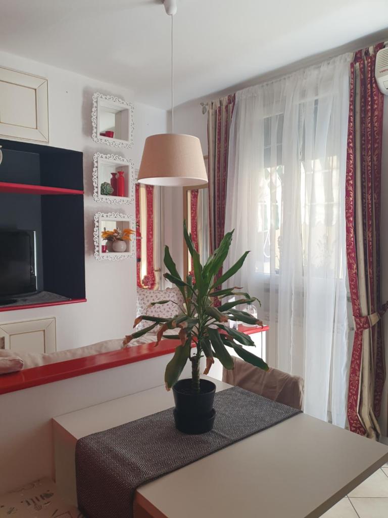 Casa Magnolia photo 1