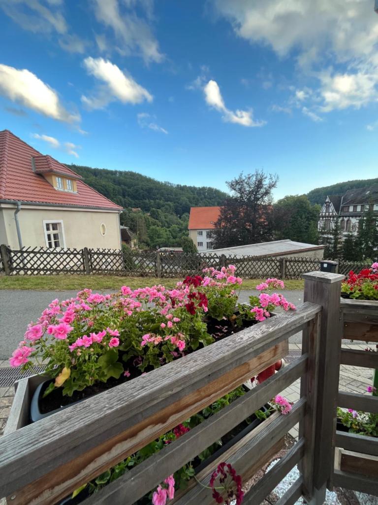 Ferienwohnung an der Thyrahöhe photo 4