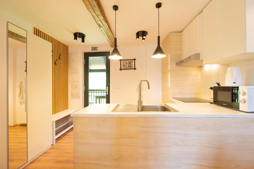 Apartments Pri Fencu photo 3