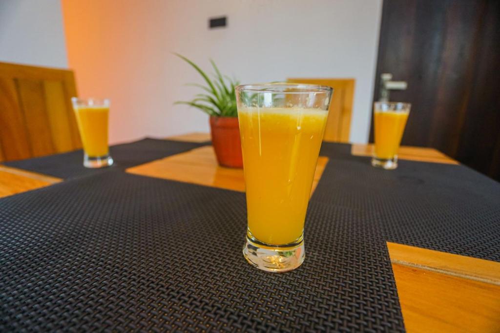 Shorea Lanka Apartments and Homestay photo 4