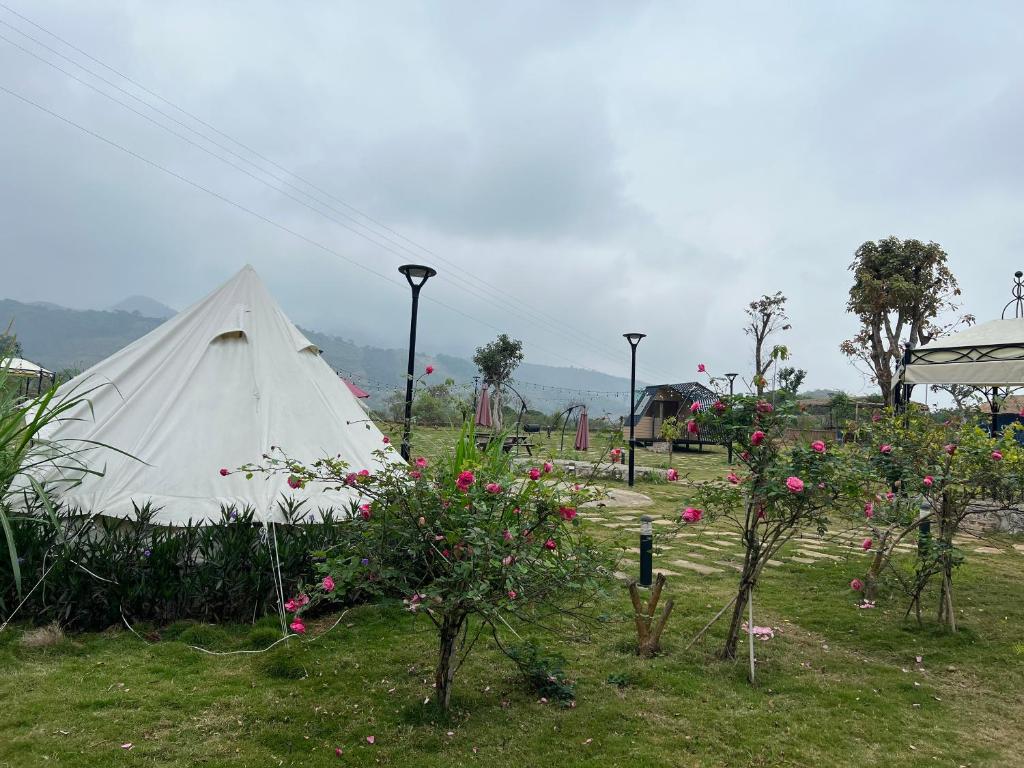 Caofong Glamping Village Hoà Bình
