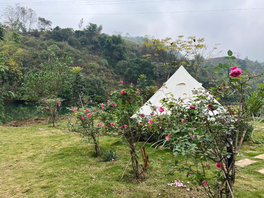Caofong Glamping Village Hoà Bình