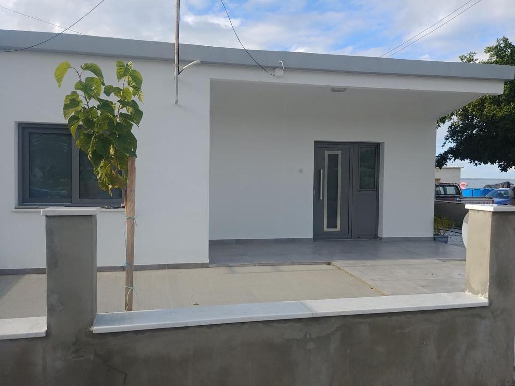 Victoria's Cheerful House photo 2