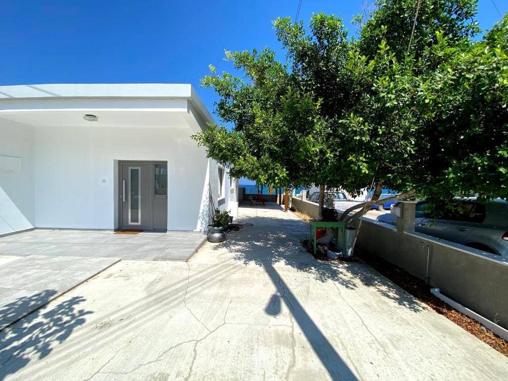 Victoria's Cheerful House photo 3