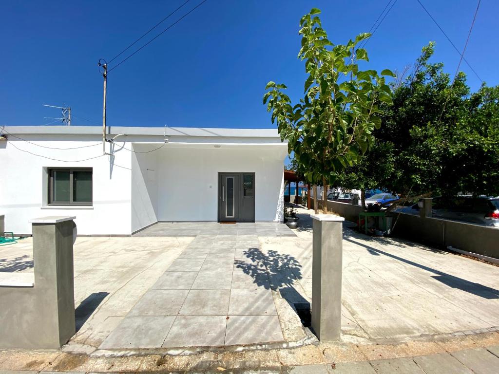 Victoria's Cheerful House photo 4