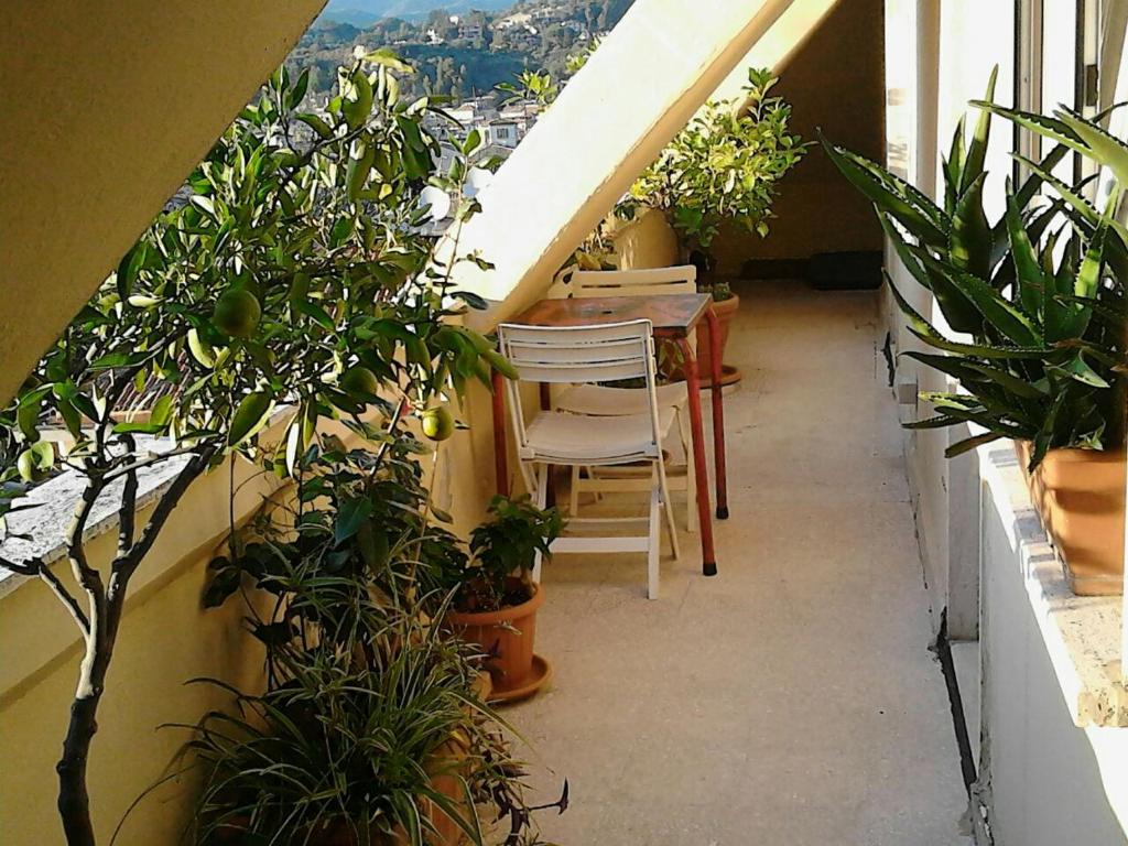 A Casa di Lola photo 2