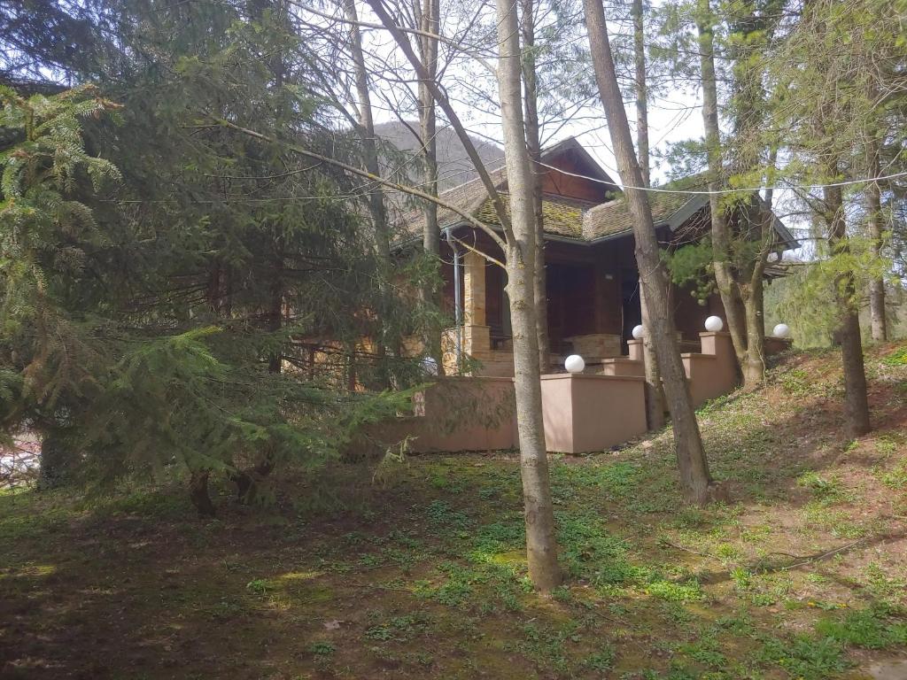 Intimo Spa photo 1