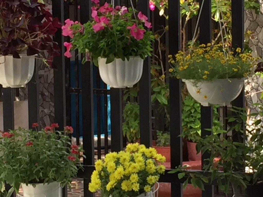 HÒANG HÔN HOMESTAY