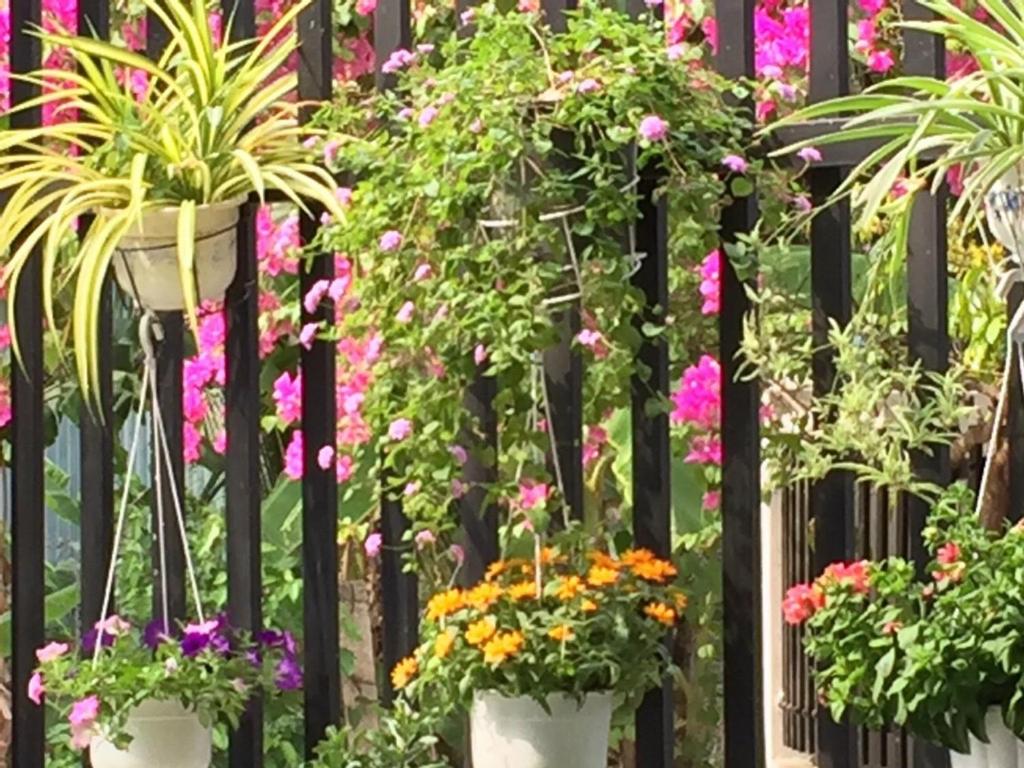 HÒANG HÔN HOMESTAY