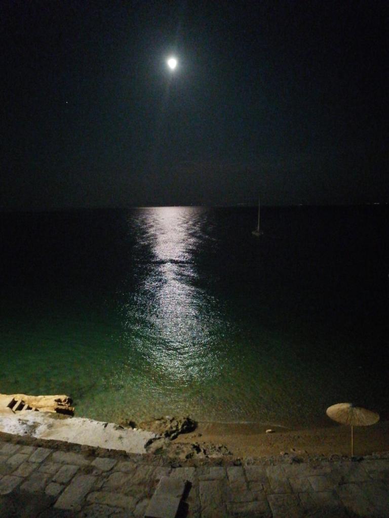 Calypso Beach Hotel photo 1