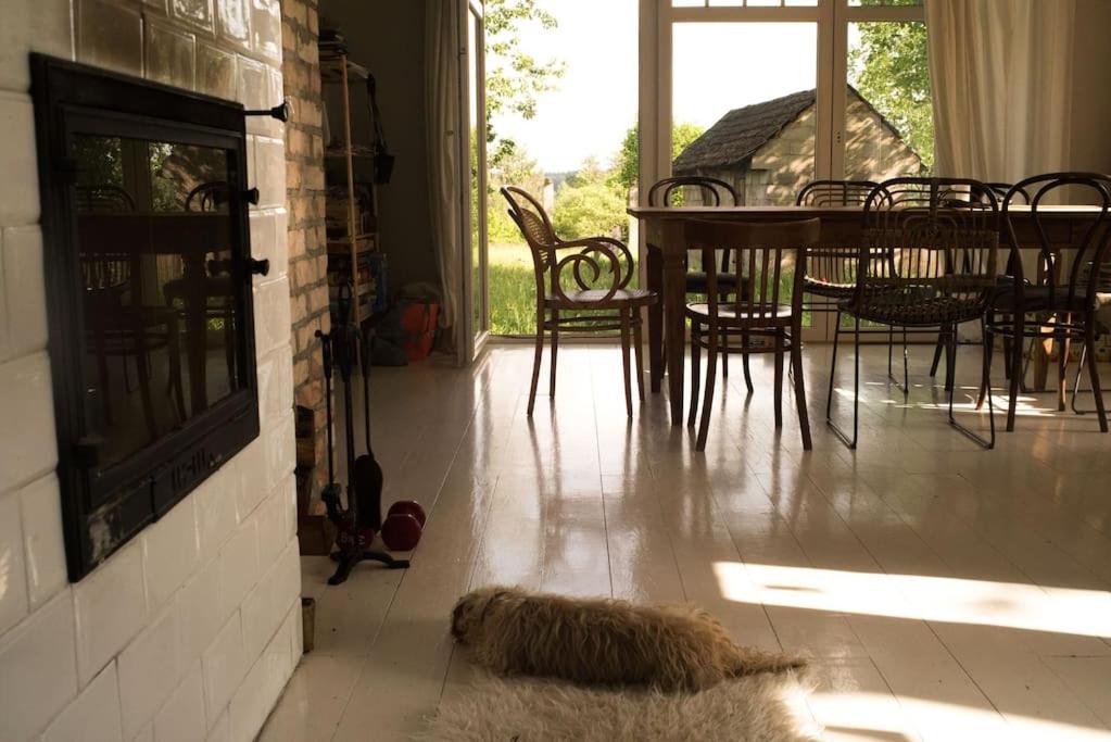 Podlasie x Magical cottage surrounded by nature photo 2