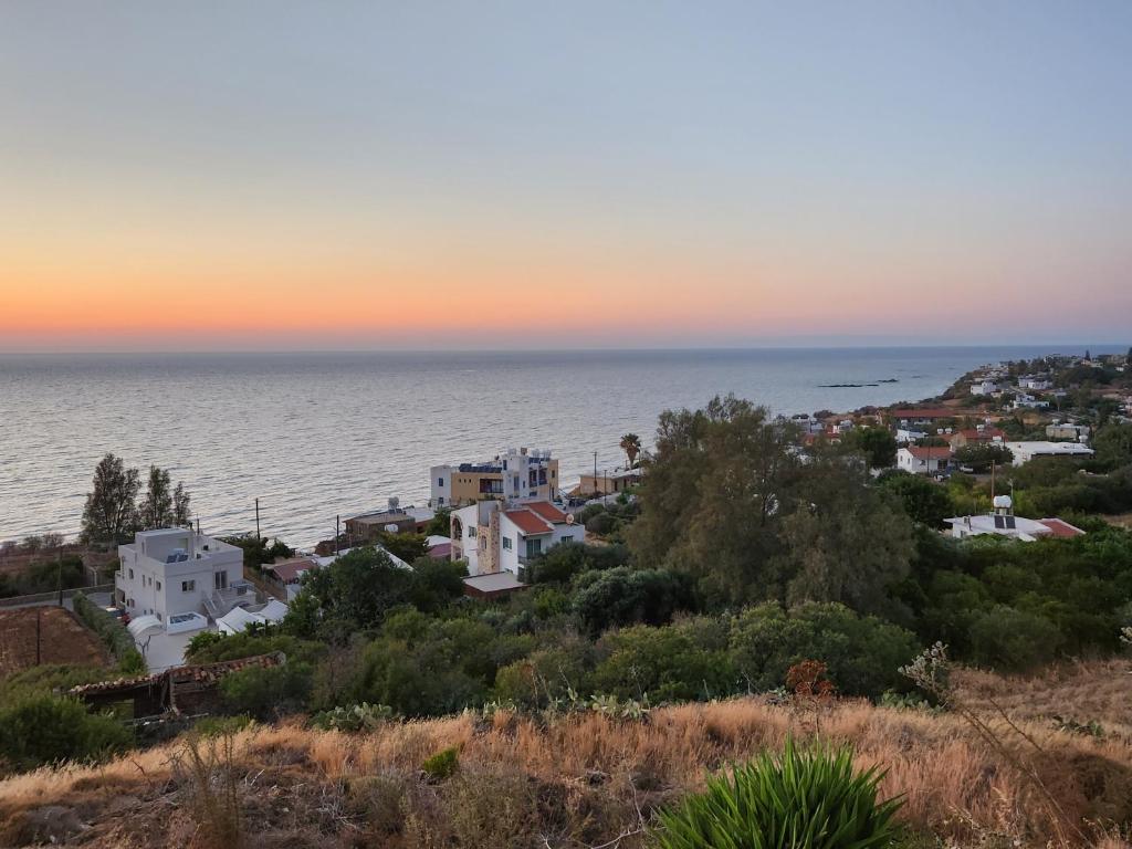 Serena Vacation Home photo 3
