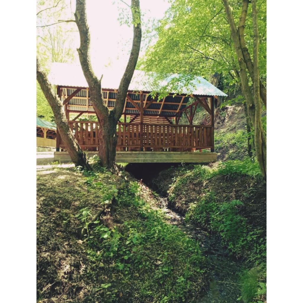 Pavilions photo 2