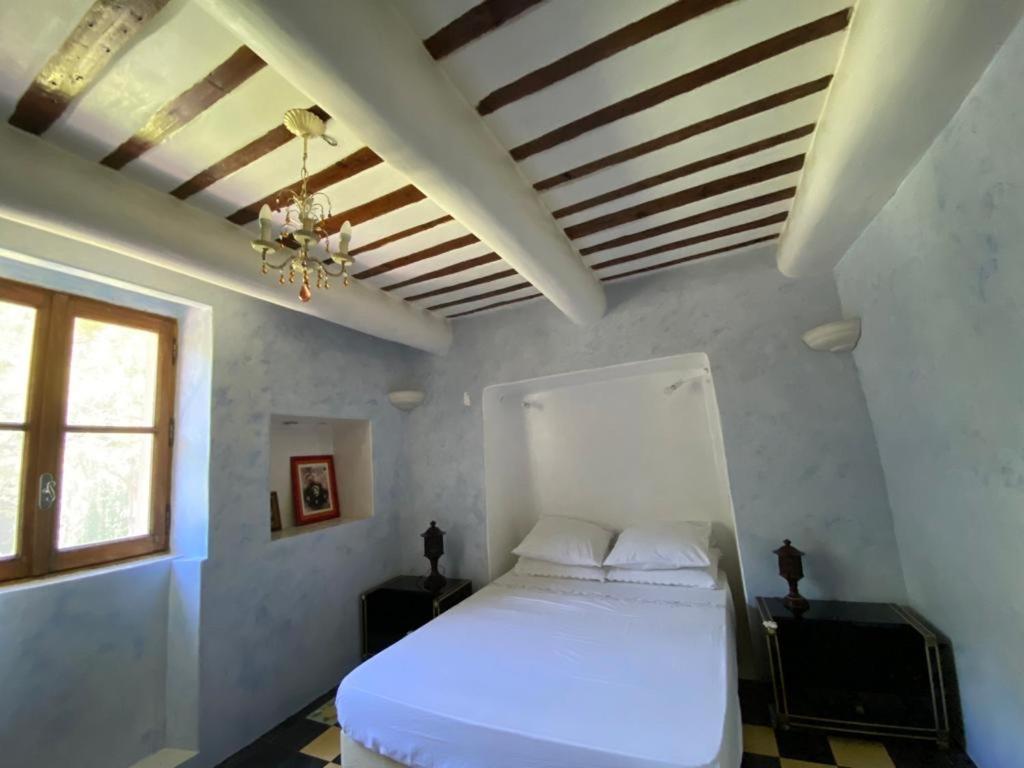 Superbe, spacieux appartement , dans un cadre charmant photo 1