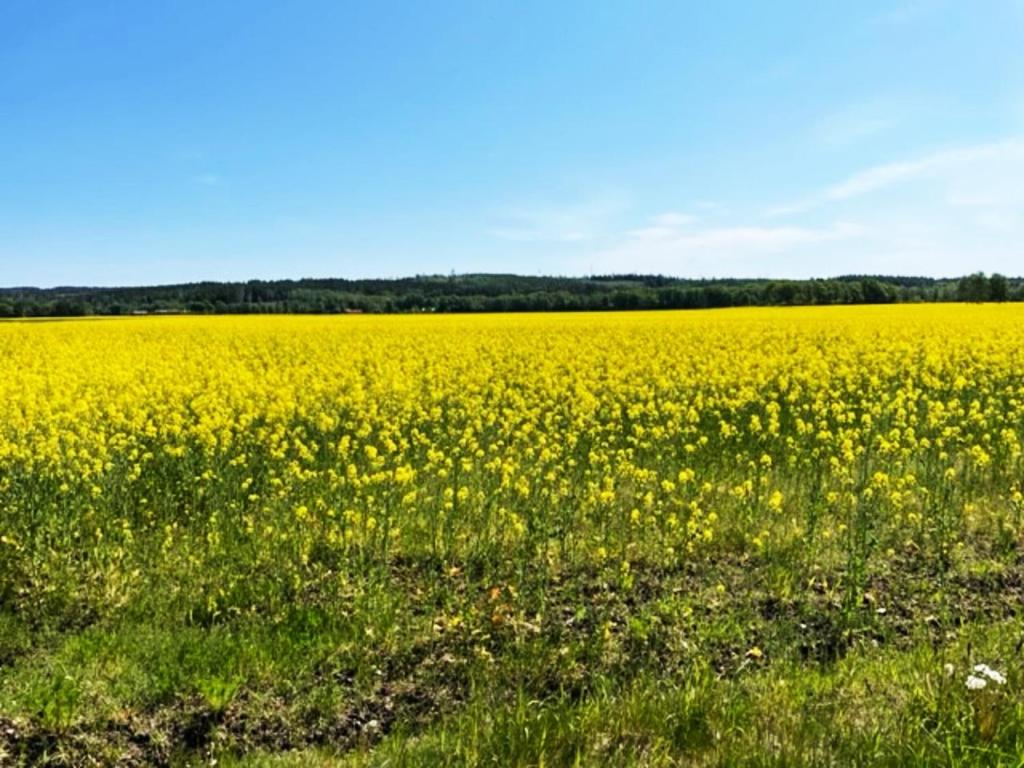 Holiday accommodation in Eldsberga near Halmstad photo 4