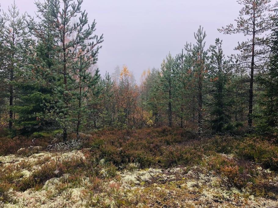 Tilava ja rauhallinen huvila mukavuuksilla photo 3