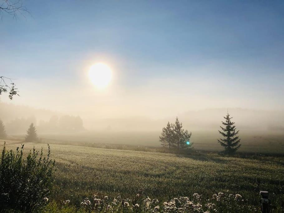 Tilava ja rauhallinen huvila mukavuuksilla photo 2
