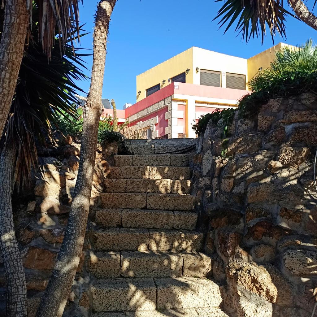 Finca Aurora photo 3