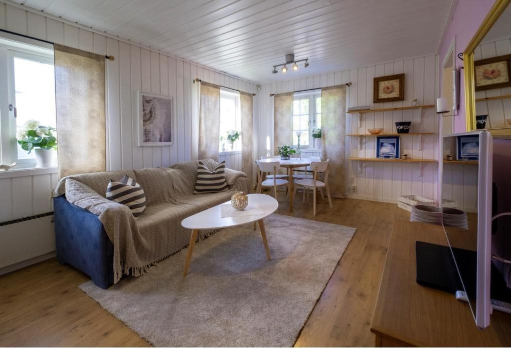Lilla gröna huset på gården photo 3