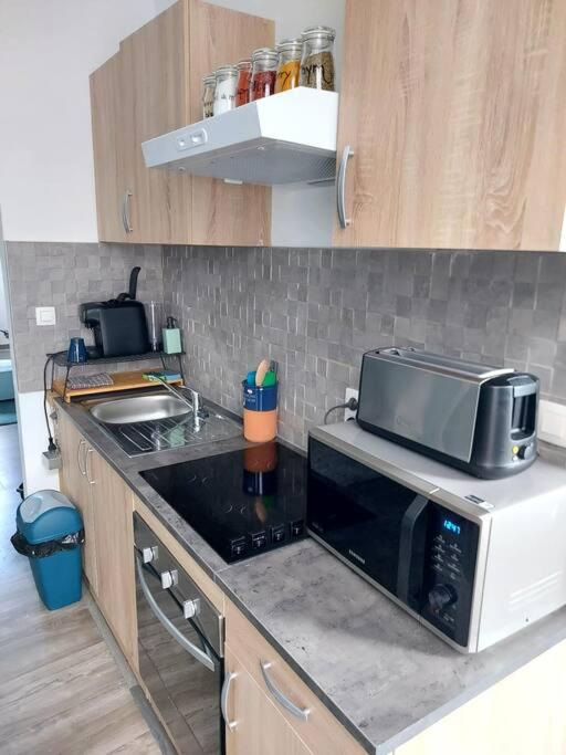 Dodo 3 appartement hyper centre photo 1