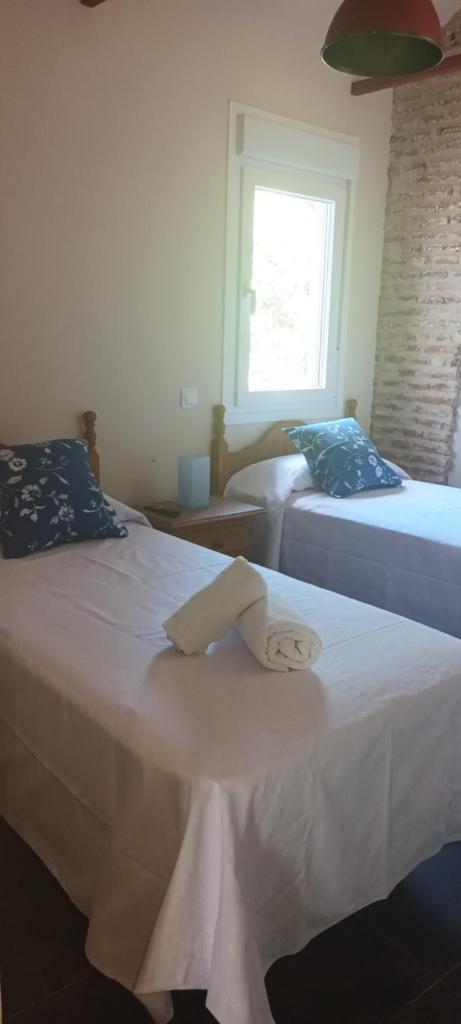 La Casona del Asno photo 3