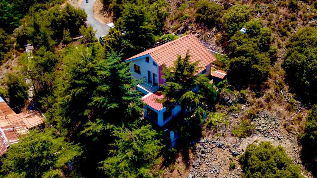 VILLA ERATO by AgroHolidays photo 1