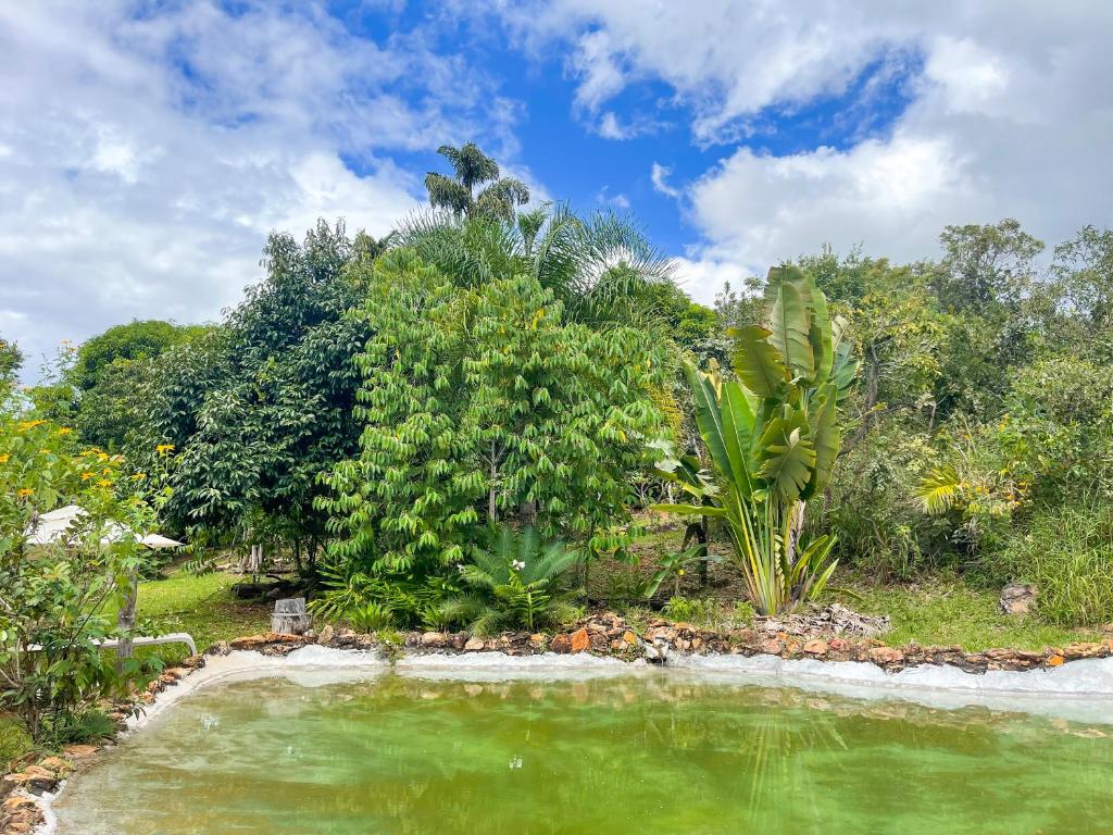 Chalé Kaliandra - Terra Dourada, Oásis no Cerrado, Piscina Natural, Wi-Fi photo 4
