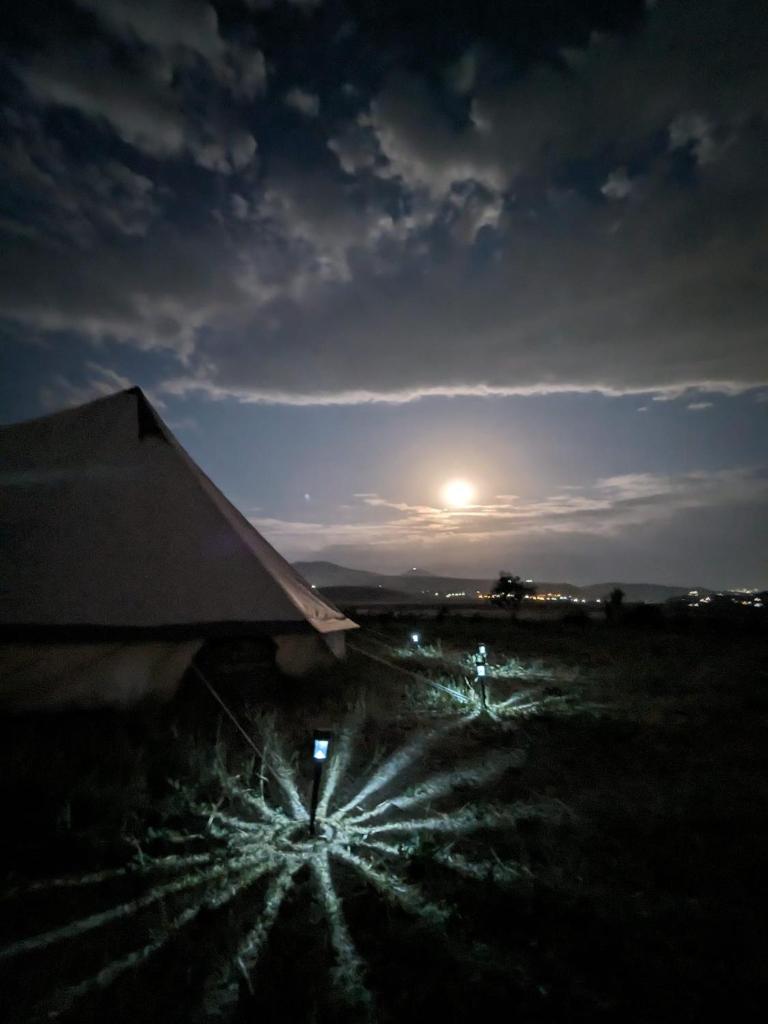 Campy Mountain Campsite photo 3