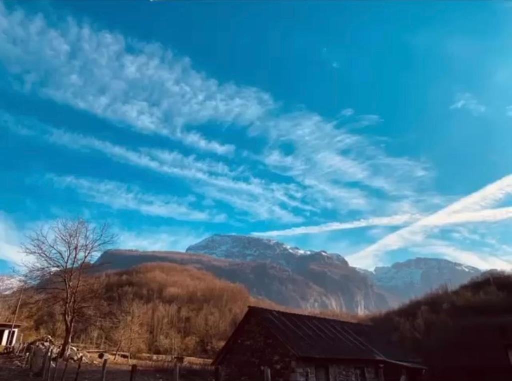 Shpija e Gjyshit Vuthaj photo 2