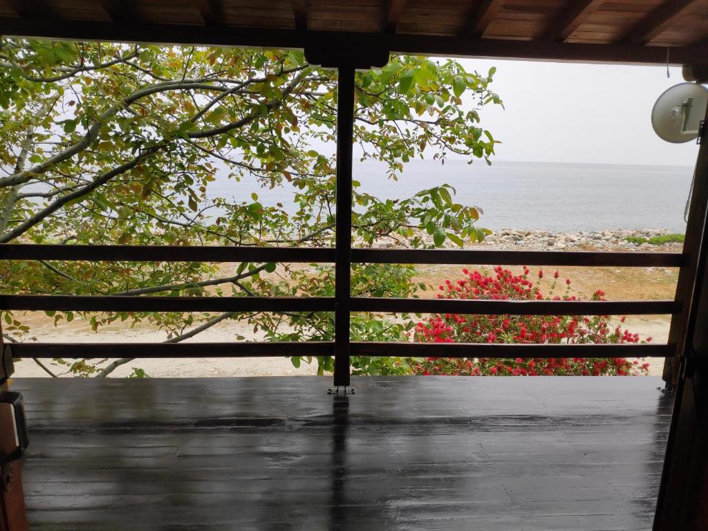 Lemongarden by the sea photo 4