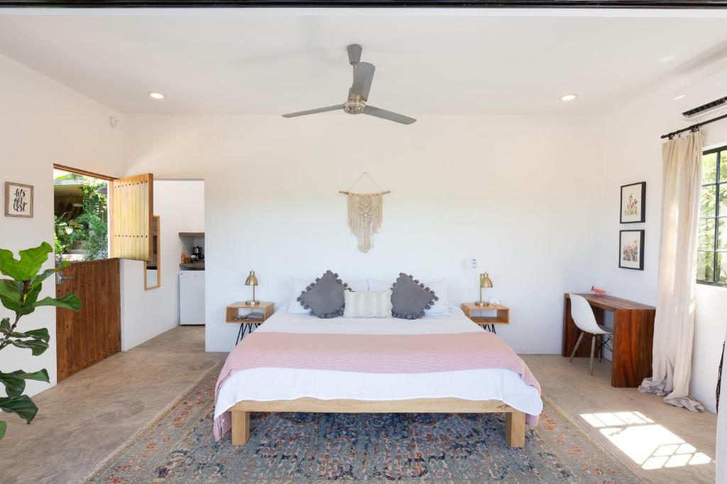 HUGE Suite!! King Bed, Air Conditioning, Pool, Fast Wifi - Sol at Casa Calavera photo 1