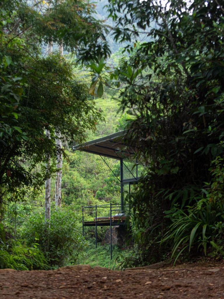 Kurunduketiya Private Rainforest Resort photo 1