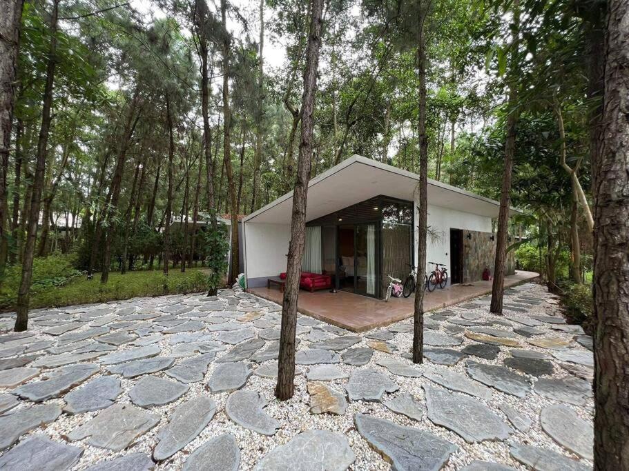 Forest Villa Flamingo Dai Lai