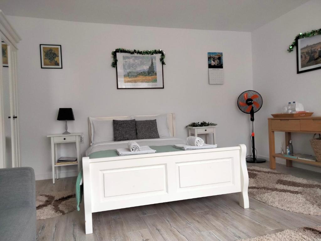 Casa Scheiana photo 1