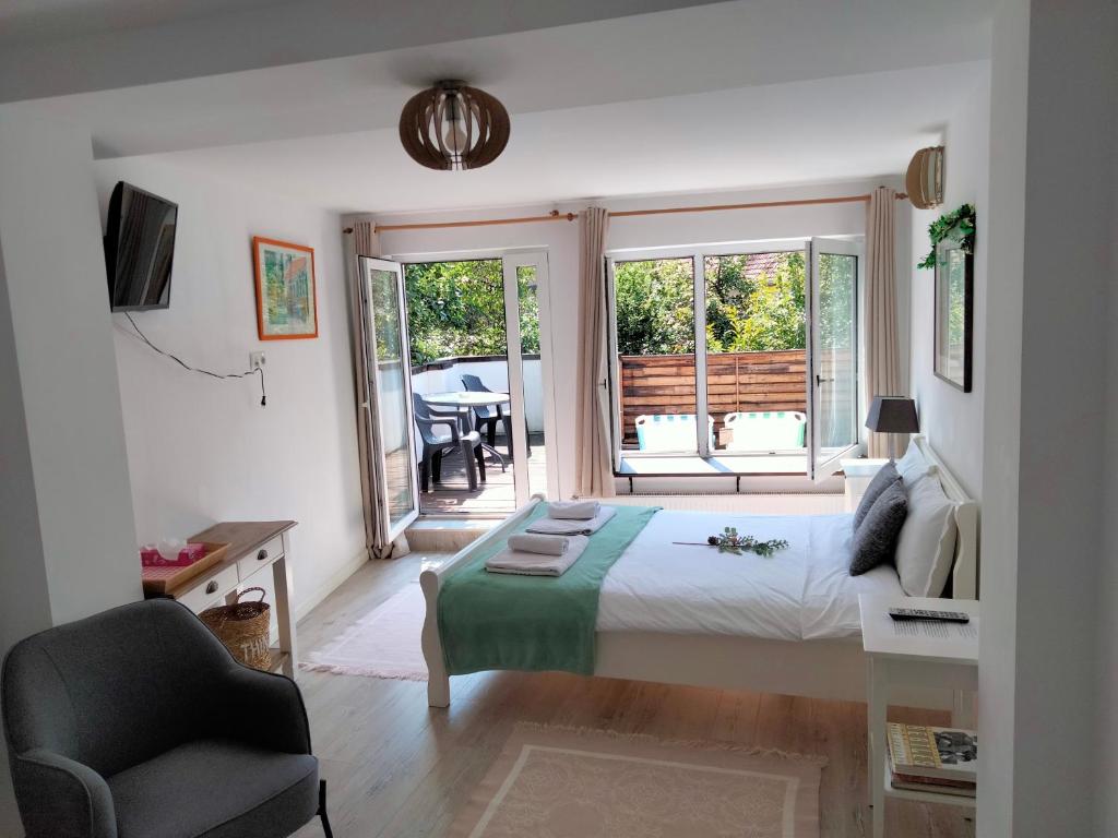 Casa Scheiana photo 2