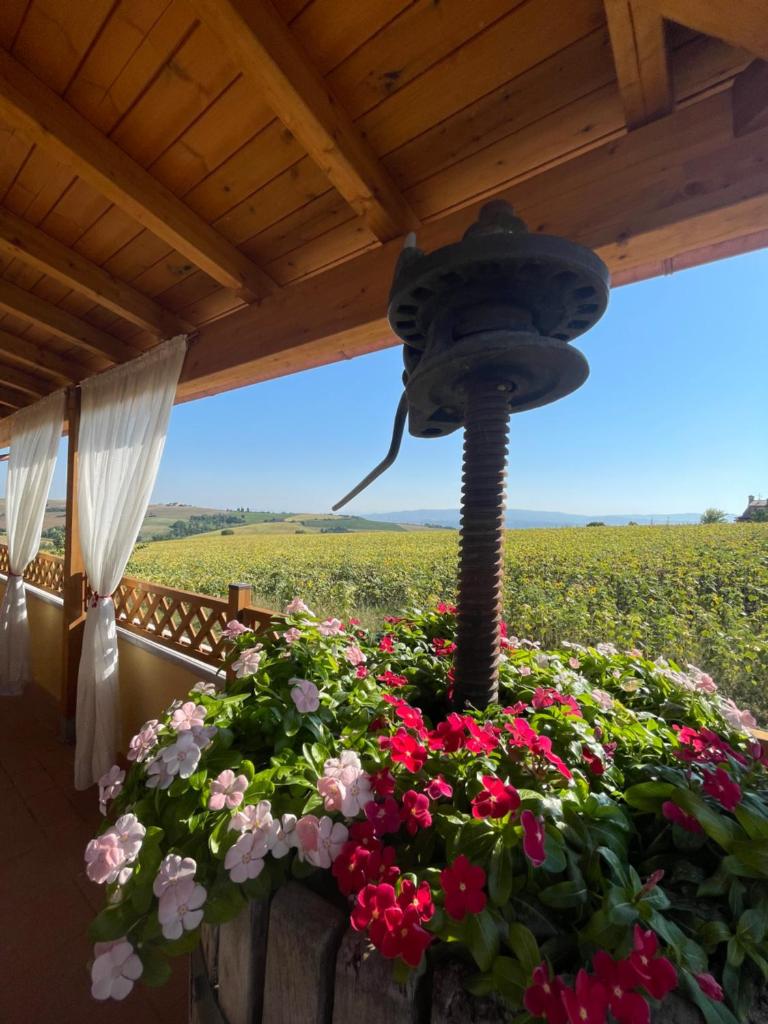 AGRITURISMO LA MOROLLA photo 4