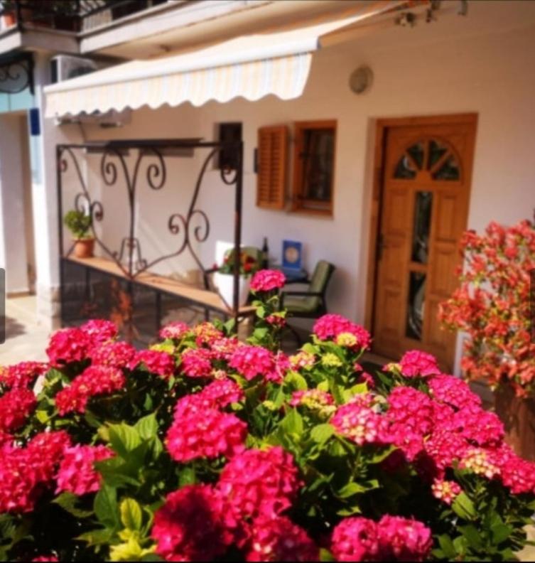 Apartmani Rita Studio photo 1