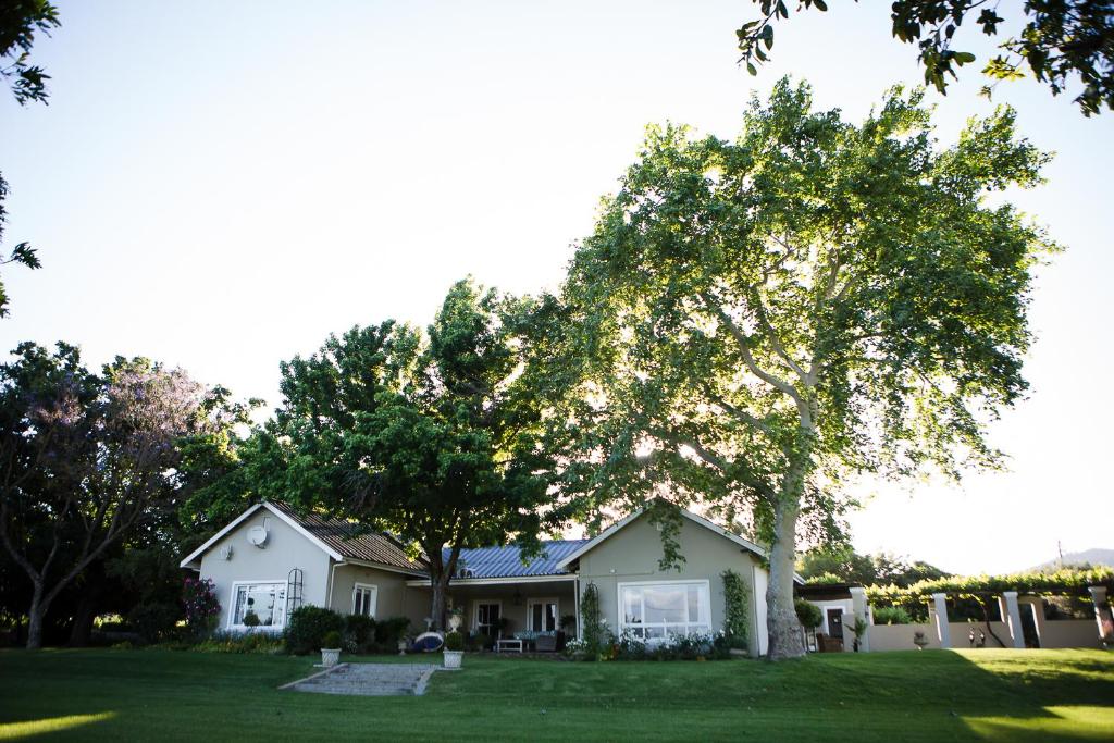Doran Vineyards