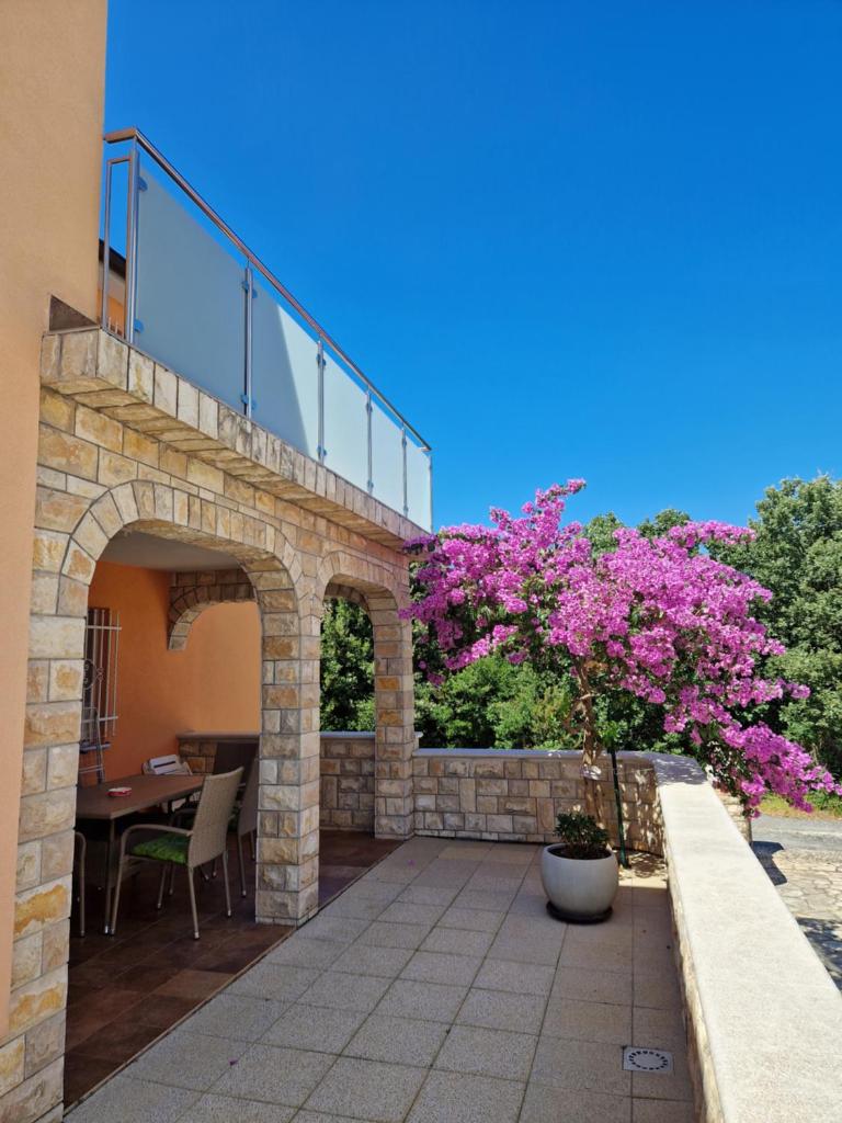 Villa Luka photo 1
