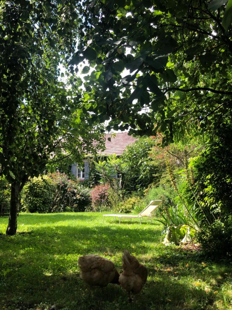 Grande maison avec jardin arboré photo 1