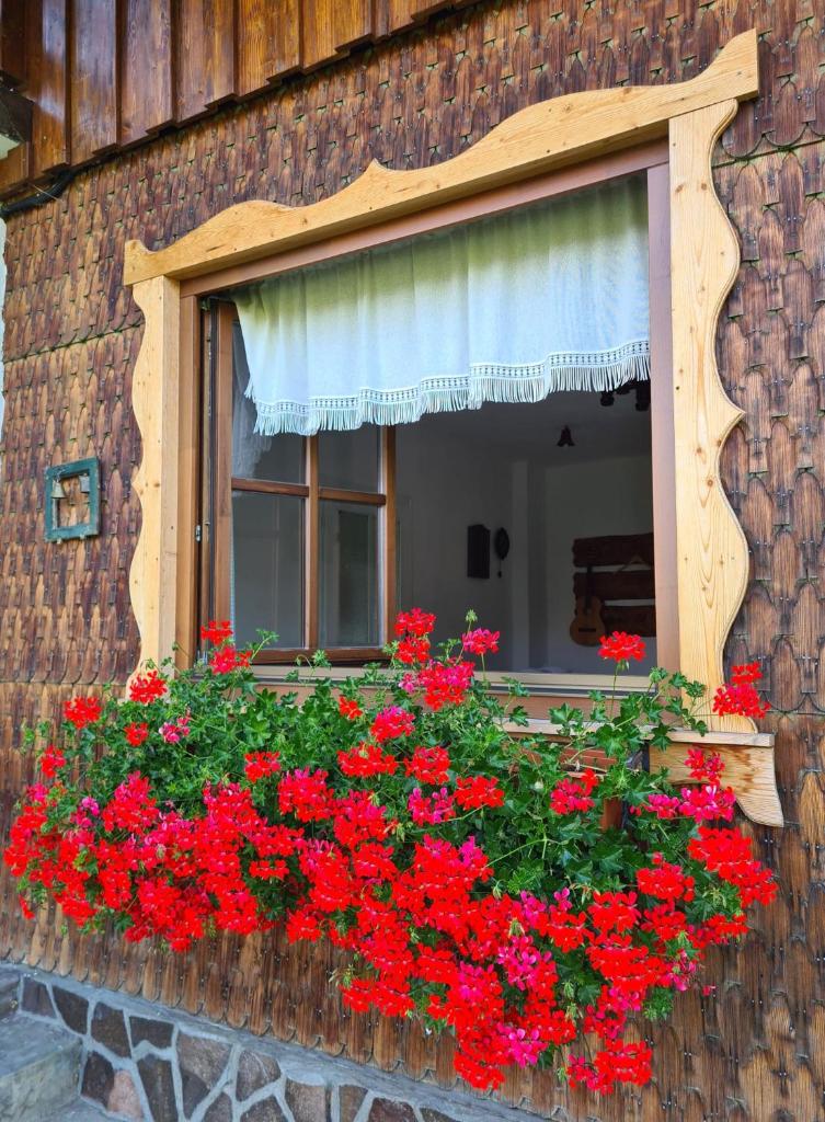 Casa Muchia lui Gîrniță photo 4