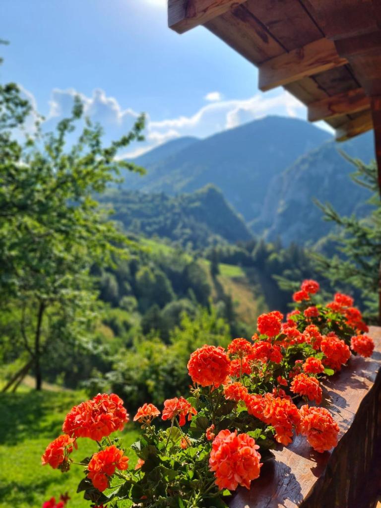Casa Muchia lui Gîrniță photo 2